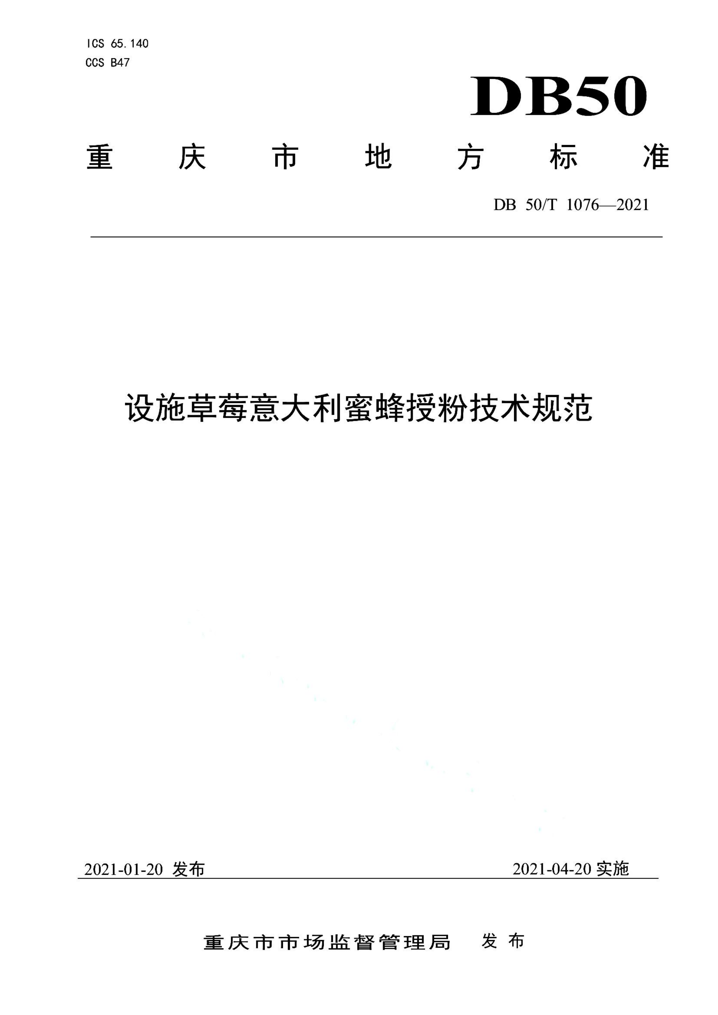 资源详情图